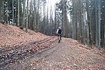 Błotnista ścieżka dookoła Kalenicy