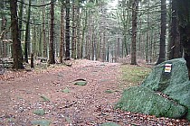 Czerwony szlak na Kalenicę.