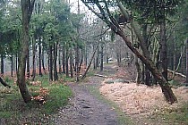 Zjazd z Kalenicy czerwonym szlakiem.