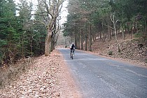 Szosa na Przełęcz Walimską