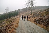 Zielony szlak rowerowy