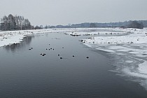 Nad zalewem Zemborzyckim, tu jeszcze nie zamarzło