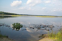 Rybakówka "Dziubek" lub "Siembida" bo takie nazwy funkcjonują