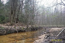 rzeka Łukawica okolice Janik