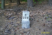 po minięciu Rzeczycy Długiej skręcamy w prawo i cały czas prosto i prosto.