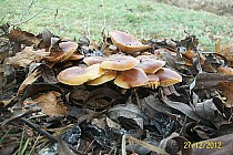 zawsze można rzec ,że w dobie fotografii cyfrowej zdjęcie nie jest żadnym dowodem