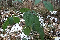 Jak widać wiosna tuż tuż!