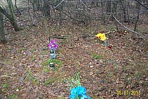 jeszcze przed przejazdem przez tory natkniemy się na trzy mogiły słabo widoczne, po lewej stronie drogi