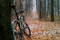 Wigilijny wypad w teren :)