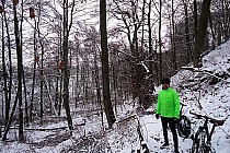 Rezerwat Buków w Sierakowskim Parku Krajobrazowym