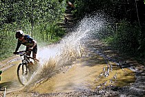 Plener Festival MTB Cup