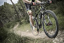 Jose Antonio Hermida