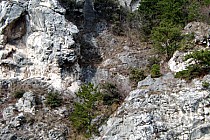 Droga w kierunku Lago di Ledro