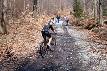 Żółty szlak na Ślężę