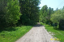 Stalowa Wola ul. Sosnowa wjazd do lasu