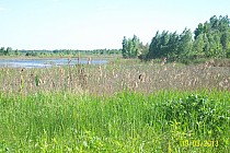 rekultywowane tereny po kopalni