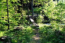 Mostek na zielonym szlaku, tuż przed stromym podjazdem