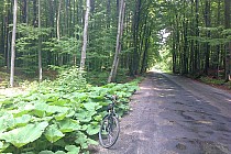 Moje ulubione miejsce czyli odcinek Huta-Niekłań