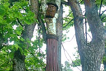 Przydrożny Jezus w Mniowie