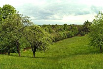 Widok z miejscowości Ostre Górki