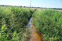 okolice Przyszowa i Stanów
