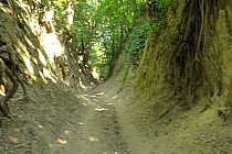 wawóz św jadwigi siedlisko sandomierskich komarów