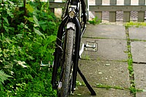 Mój towarzysz wyjazdów:)