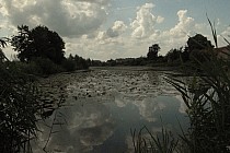 orzech wodny - rezerwat przyrody w pinowie