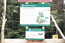 Tu skręcamy w prawo