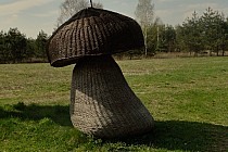 grzybek z wikliny