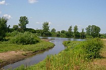 ujście tanwi do sanu