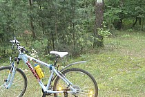 Trasa Bursztynowego Szlaku świetnie oznakowana.