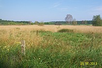 łąki , ugory , wertepy