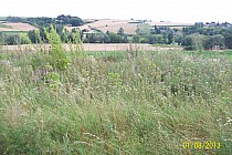 Malownicze tereny miedzy Opatowem , a Sandomierzem