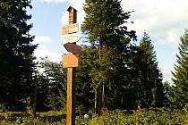 mtb szlakami beskidu niskiego i sadeckiego 15.08.2013r./hala barnowska dalej krecimy w kierunku piwnicznej i rytra