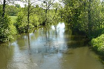 rz. Wierzyca