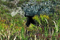 Jaskinia „Nad Stawem" w Leszczach