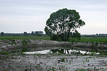 Staw przy nieistniejącym już "Skowrockim Dworku"