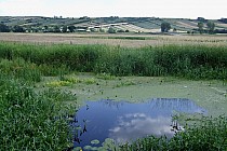 Garb Pińczowski - widok od strony Sobowic