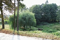 Podlesina - źródełko