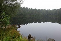 Czarny staw o poranku, cisza ...