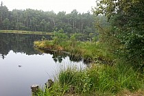 Czarny staw o poranku, cisza ...