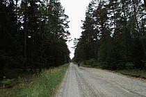 Gościniec Fryszarkowski