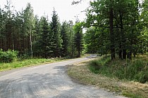 Droga z Fryszarki do Borowych Młynów