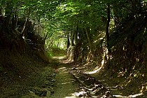 Okolice Węchadłowa