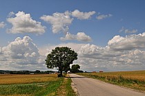 Okolice Jelczy Małej