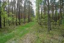 Okolice Zakrzowa / Młodzaw