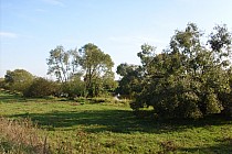 Okolice Koperni- rzeka Nida