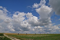 Droga z Jelczy M. na Pawłowice / Tur D