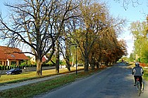 Krasnobród - Aleja NMP